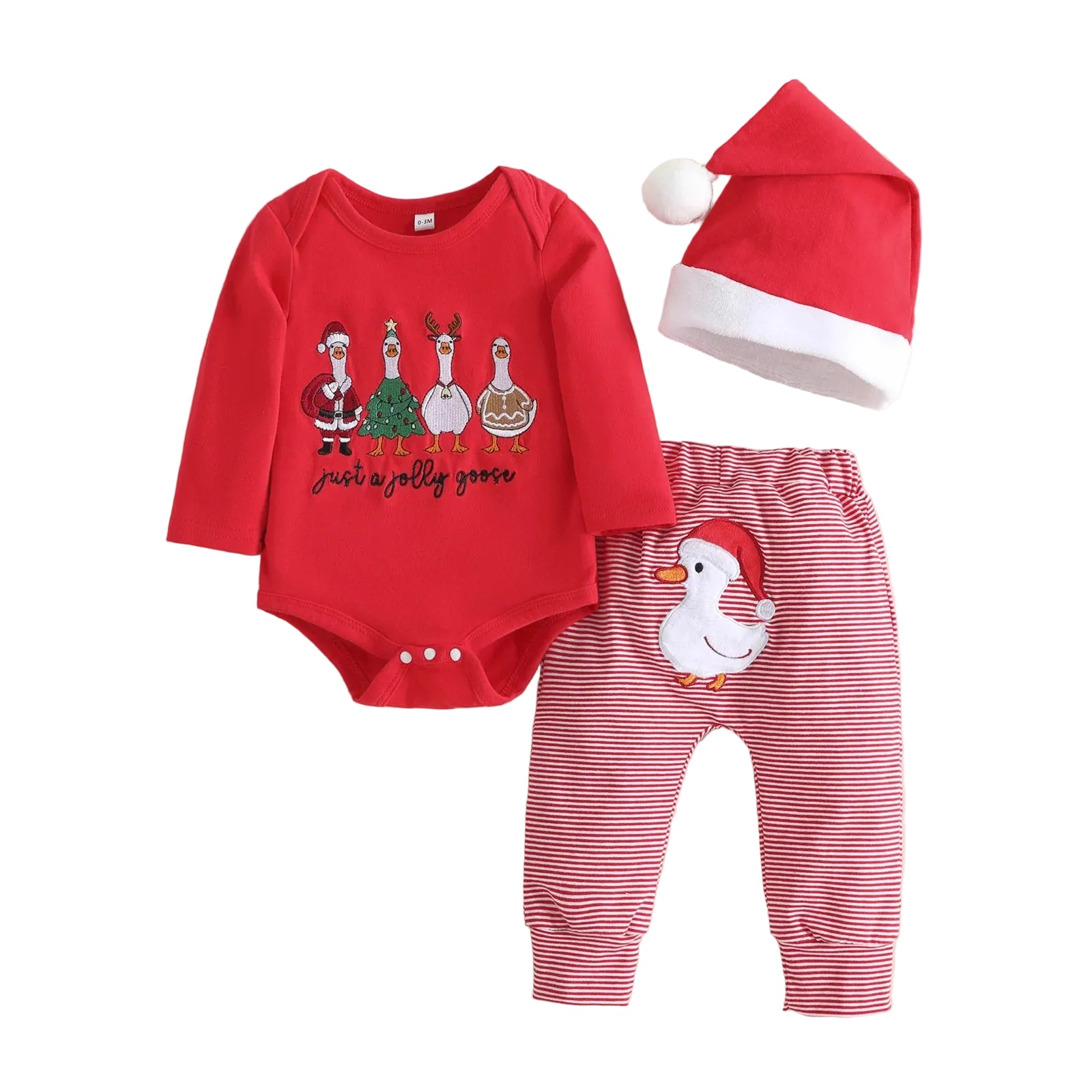 JUST A JOLLY GOOSE Outfit with Santa Hat