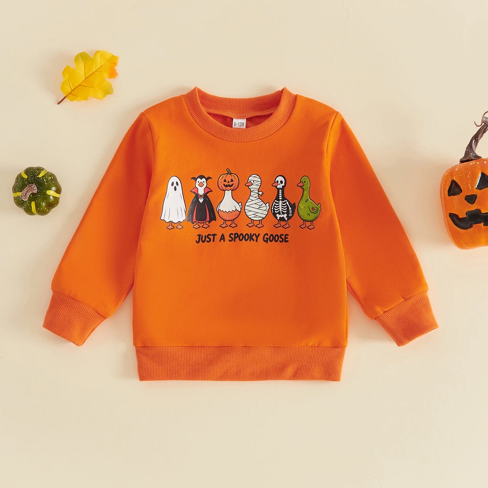 JUST A SPOOKY GOOSE Sweatshirt