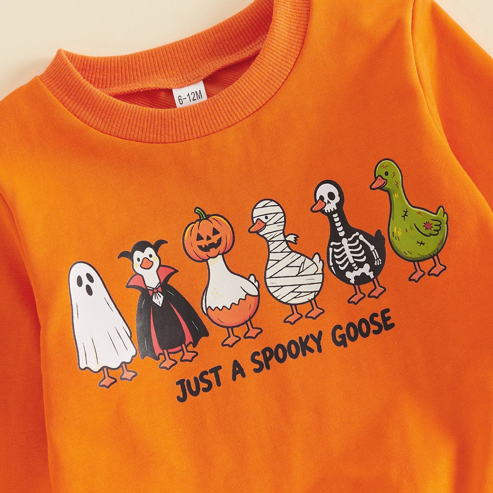 JUST A SPOOKY GOOSE Sweatshirt