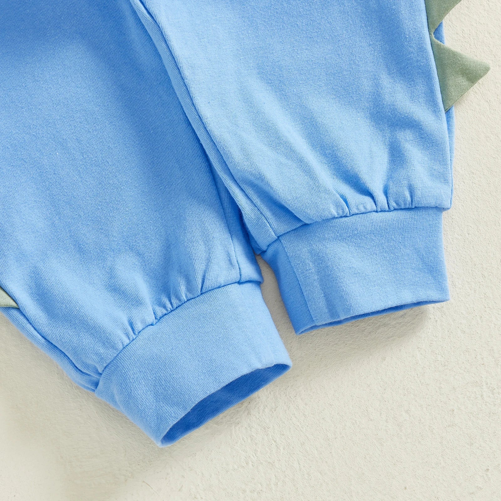 DINOSAUR FIRST BIRTHDAY Outfit