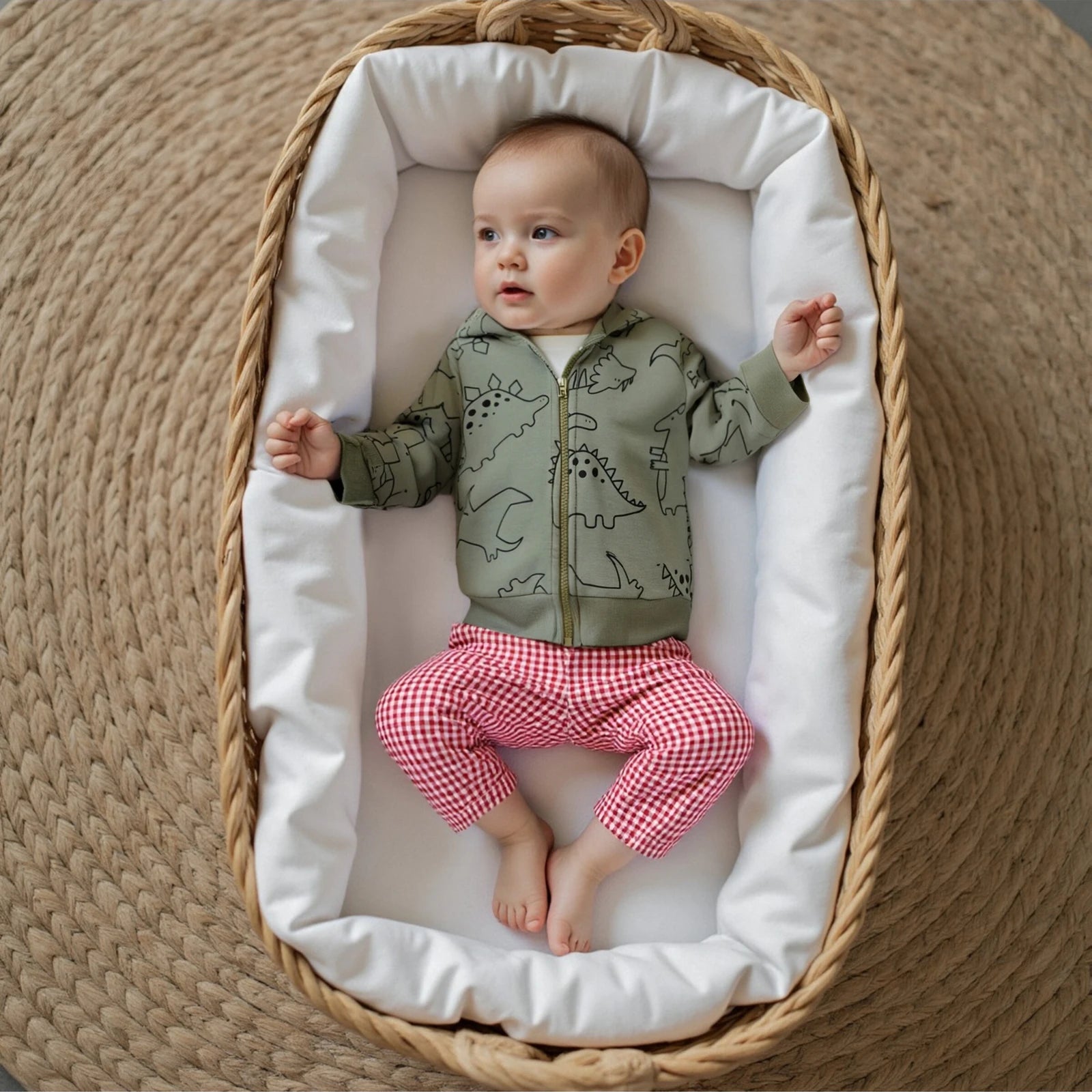 DINOSAUR Zipper Hoody