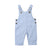 JEREMY Striped Overalls