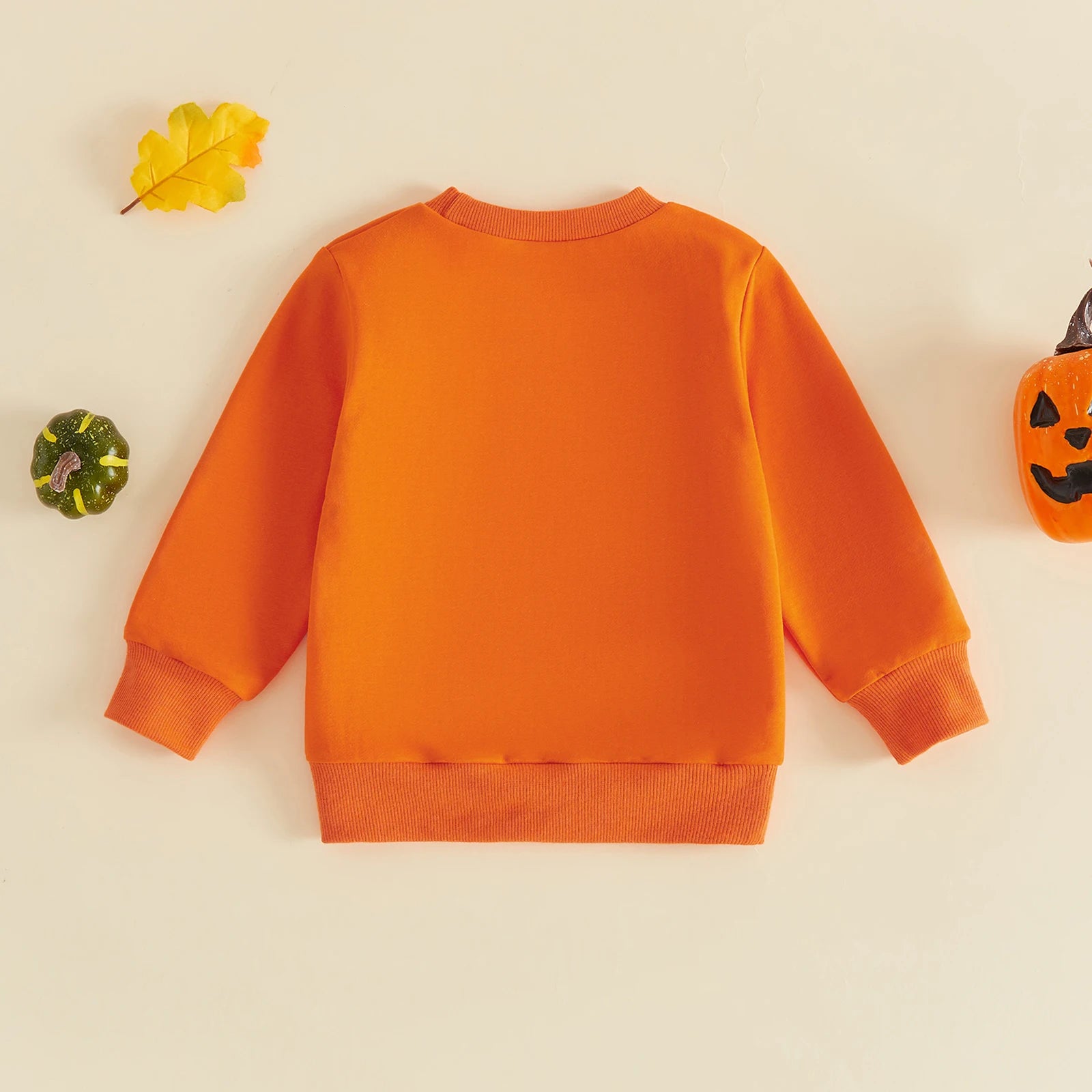 JUST A SPOOKY GOOSE Sweatshirt