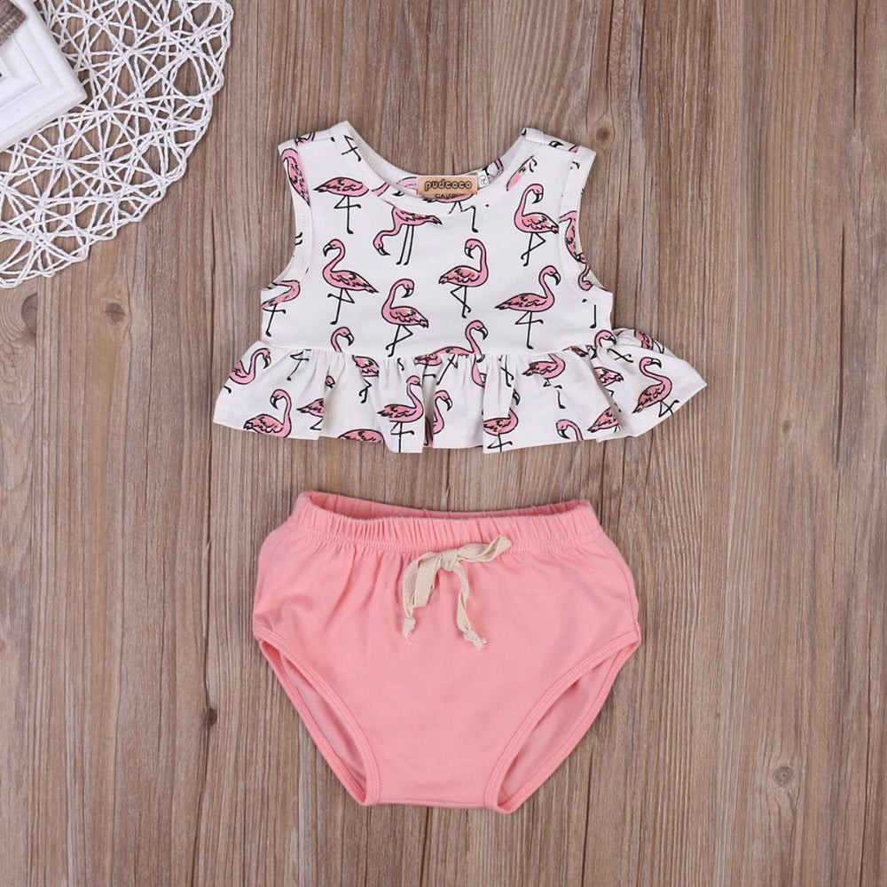 Flamingo newborn shops outfit