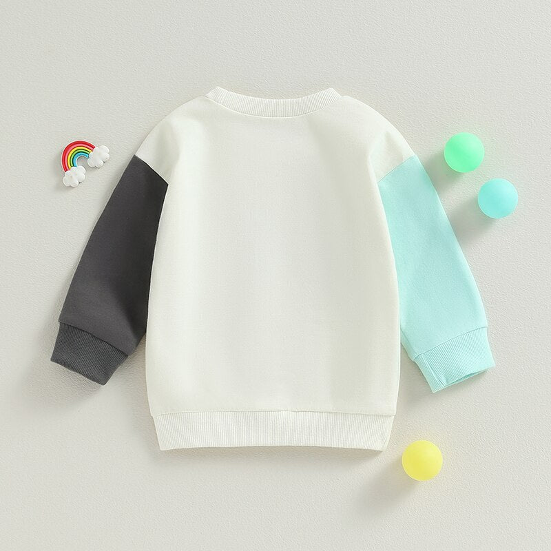 Pastel store colored sweatshirts